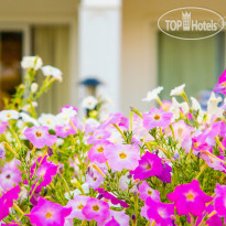 Renaissance Sharm El Sheikh Golden View Beach Resort