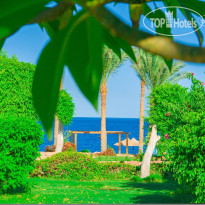 Renaissance Sharm El Sheikh Golden View Beach Resort