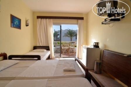 New photos from tourists Oonas Dive Club 2*