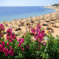 Domina Coral Bay Prestige