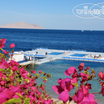 Domina Coral Bay Prestige