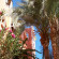 El Fayrouz 