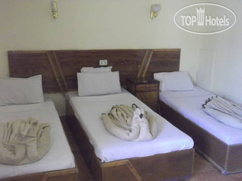 New photos from tourists Golden Palace 2*