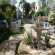Gezira Garden 