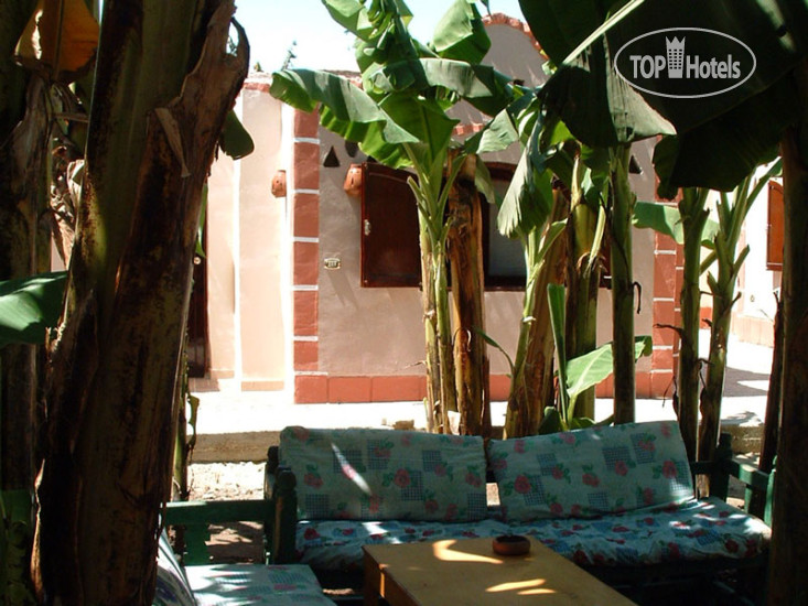 New photos from tourists Al Baeirat Hotel