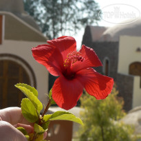 Desert Paradise Lodge