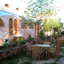 Desert Paradise Lodge