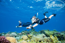 Turtle's Inn Hotel 3*