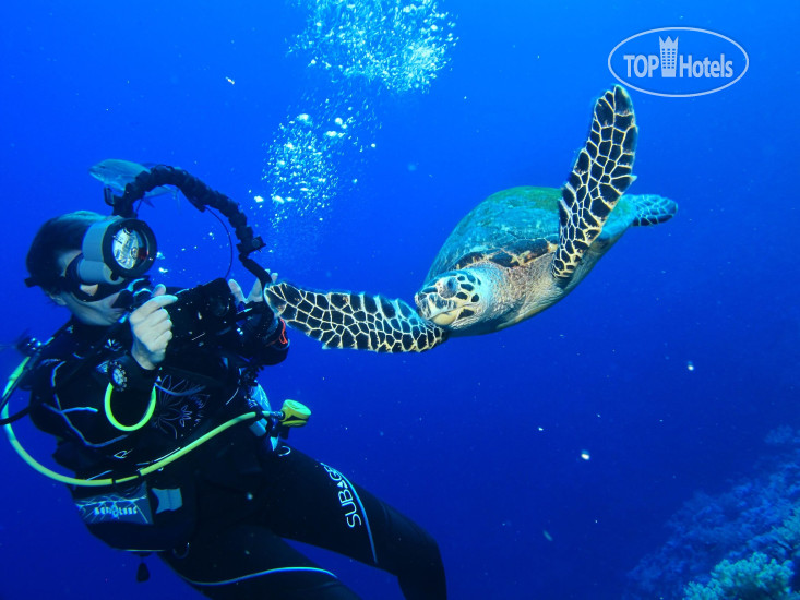 Hotel photo Ali Pasha Hotel 3*