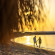 Пляж в Seven Seas Jolie Bay 5*