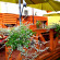  Auksine Avis Guest House 