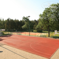 Lineja