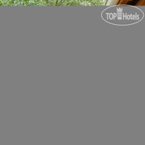 Hotel Traube Medias Сад с террасой