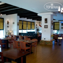 Phoenicia Express