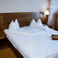 Phoenicia Express