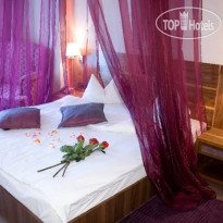 Phoenicia Express