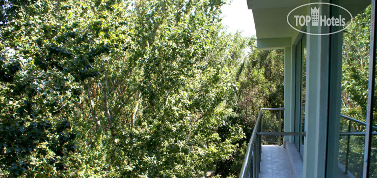 New photos from tourists Zodiac 4*