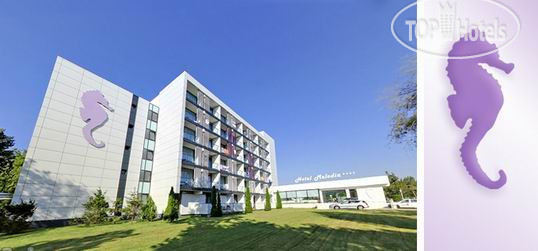 Hotel photo Melodia Hotel 4*