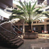 Paradiso