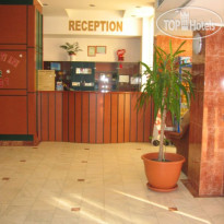 Hotel Egreta Tulcea Рецепция