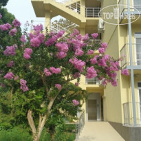 WellnessParkHotel GAGRA All Inclusive 