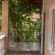 Green Guest House 