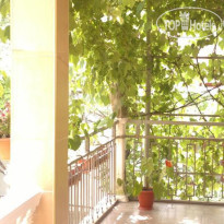 Green Guest House