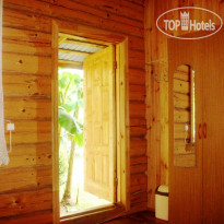 Магнолия эконом