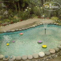 Цветущий сад