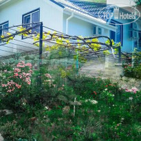 Цветущий сад