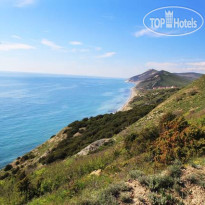 Цветущий сад