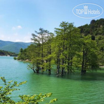 Цветущий сад