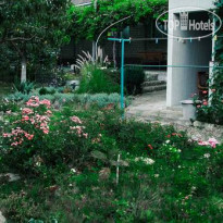 Цветущий сад