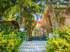 Гости Кавказа