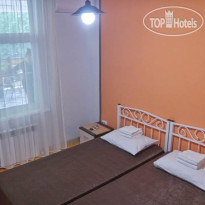 Гнездо белой совы 