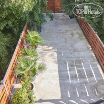 Гнездо белой совы 