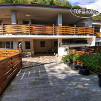 Гнездо белой совы 