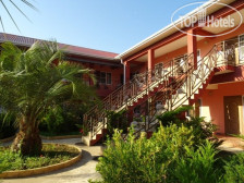 Розовый Фламинго