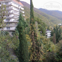 Колхида Гагра 