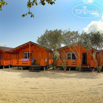 Eco Village
