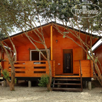 Eco Village