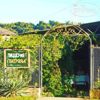 Золотая Рыбка 