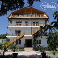 Золотая Рыбка 