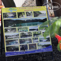 Золотая Рыбка 