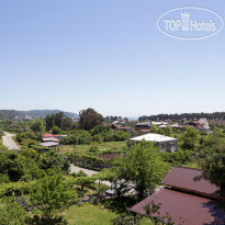 Золотая Рыбка 