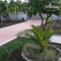 Золотая Рыбка 