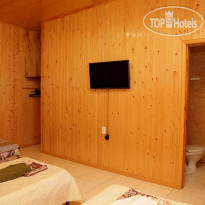 Золотая Рыбка 