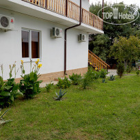 Золотая Рыбка 