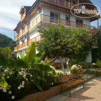 Золотая Рыбка 