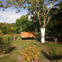 Золотая Рыбка 